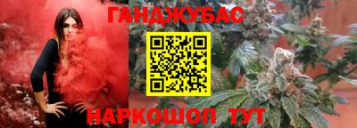 индика Бийск