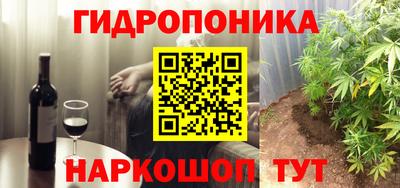 индика Бийск