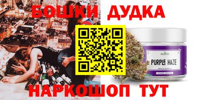 индика Бийск